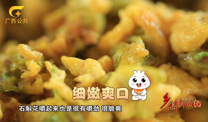 乡村新风貌||药食同源 铁皮石斛的广西”味”