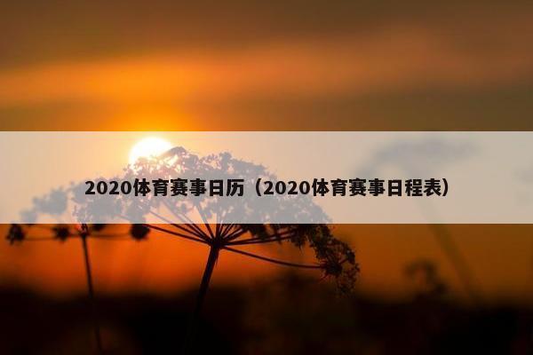 2020体育赛事日历（2020体育赛事日程表）