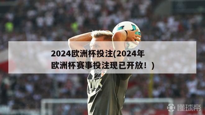 2024欧洲杯投注(2024年欧洲杯赛事投注现已开放！)