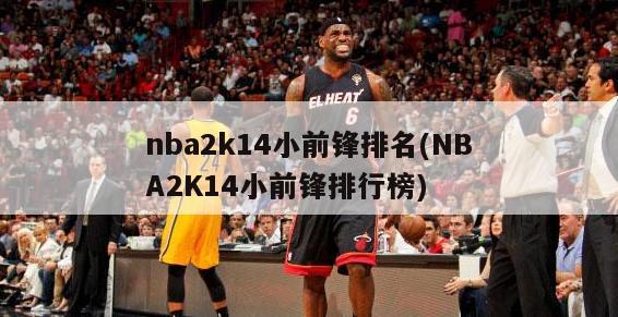 nba2k14小前锋排名(NBA2K14小前锋排行榜)