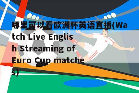 哪里可以看欧洲杯英语直播(Watch Live English Streaming of Euro Cup matches)