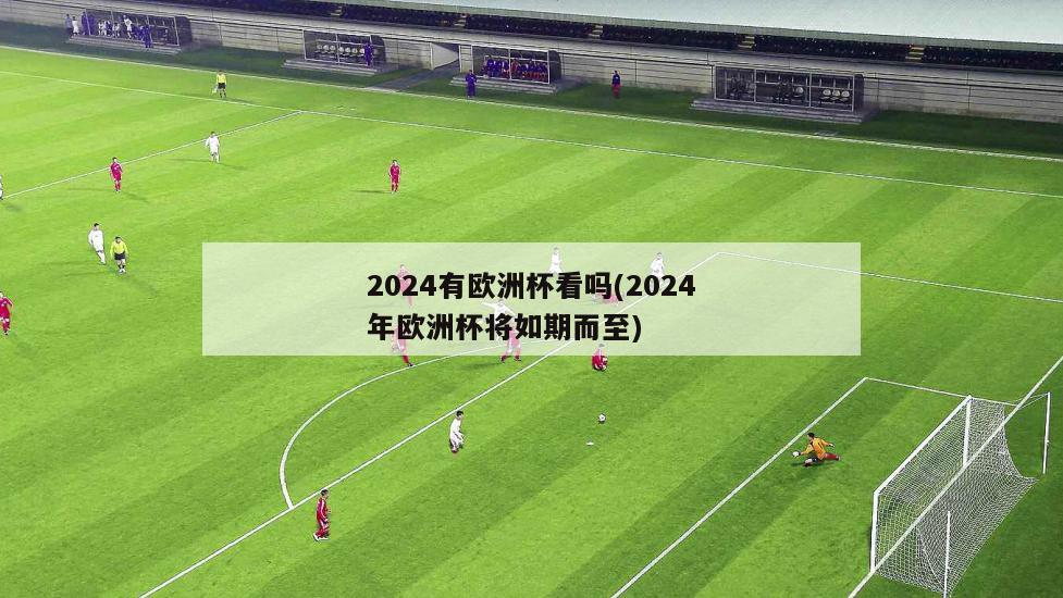 2024有欧洲杯看吗(2024年欧洲杯将如期而至)