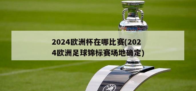 2024欧洲杯在哪比赛(2024欧洲足球锦标赛场地确定)