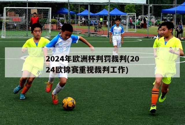 2024年欧洲杯判罚裁判(2024欧锦赛重视裁判工作)