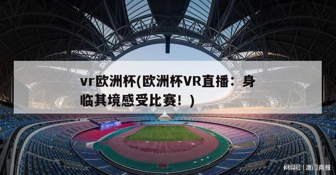 vr欧洲杯(欧洲杯VR直播：身临其境感受比赛！)