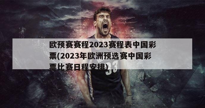 欧预赛赛程2023赛程表中国彩票(2023年欧洲预选赛中国彩票比赛日程安排)